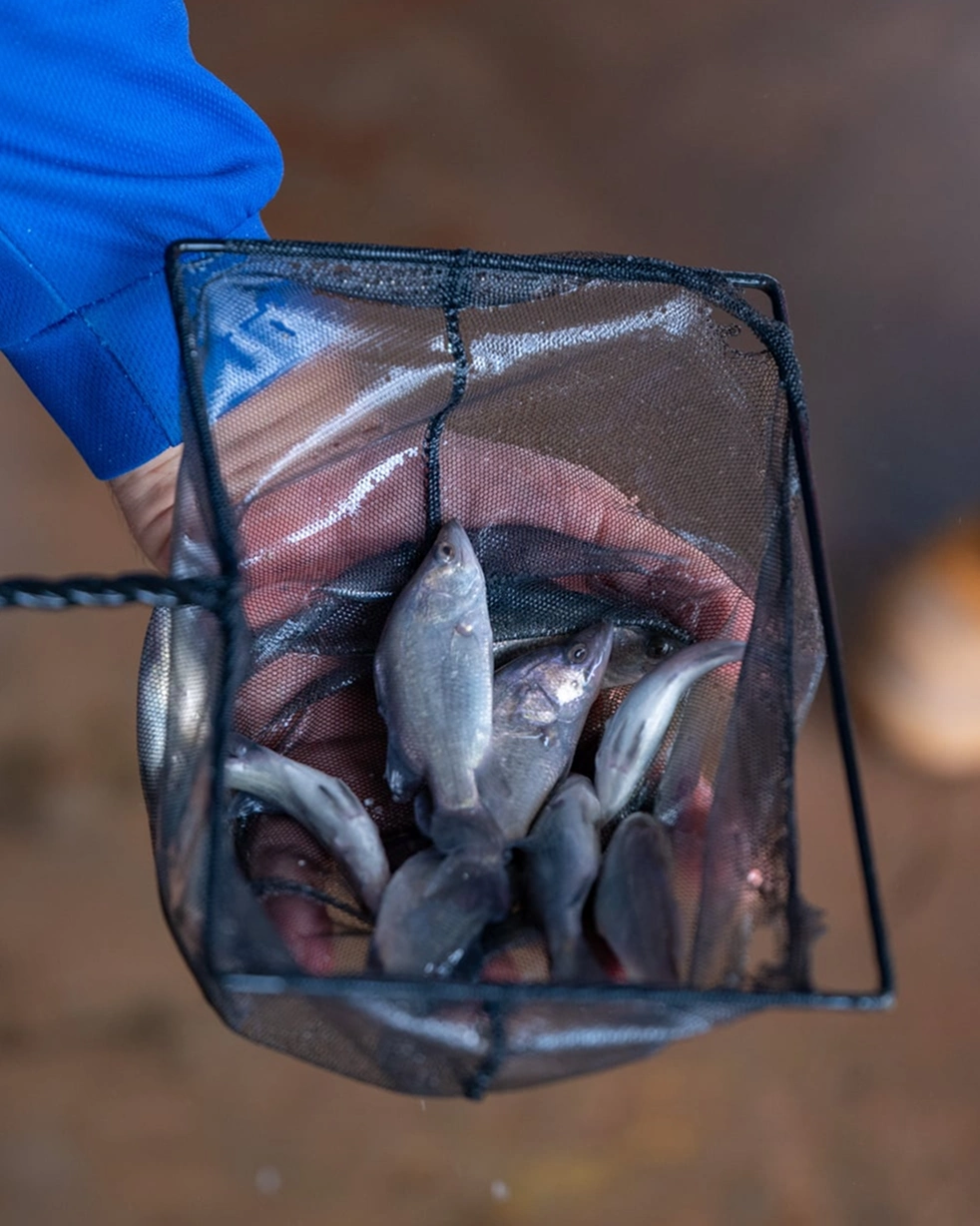 opal-barramundi-sustainability-a-legacy-of-innovation