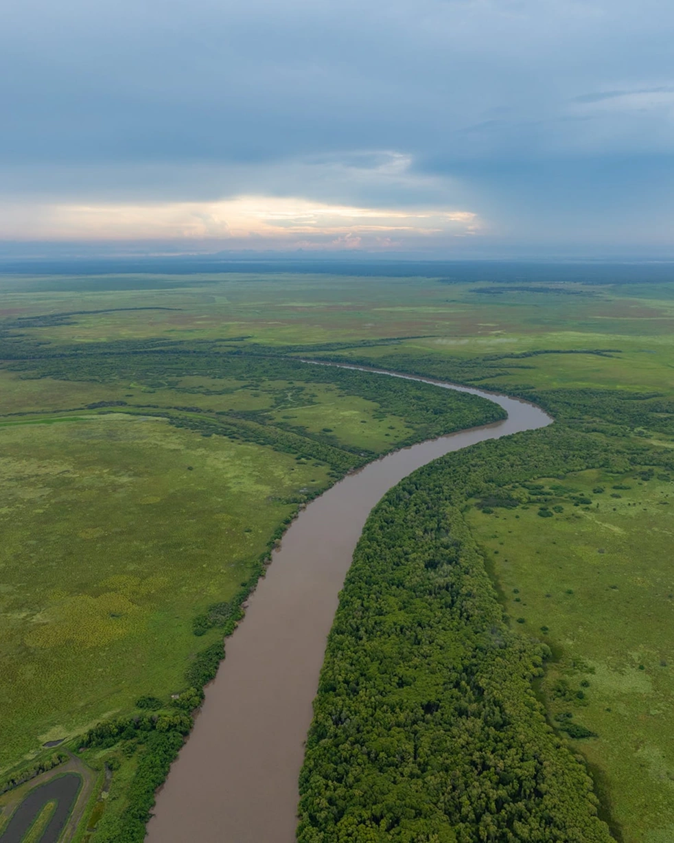 opal-barramundi-the-farm-grown-naturally-in-our-saltwate-wetland