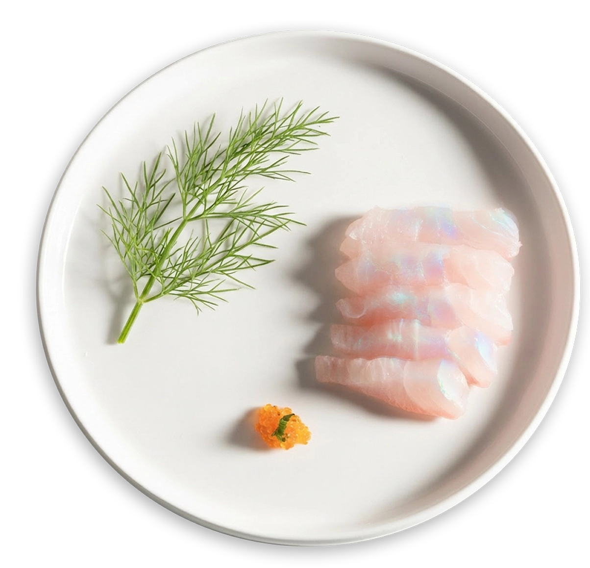 opal-barramundi-the-fish-premium-sensory-experience